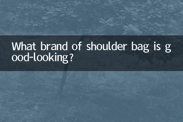 ¿Qué marca de bolso de hombro es bonito?