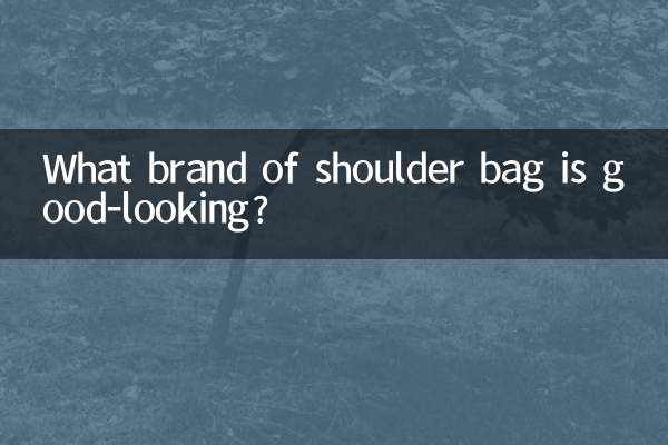 ¿Qué marca de bolso de hombro es bonito?