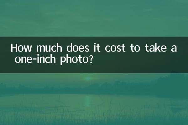 1インチの写真を撮るのにいくらかかりますか?