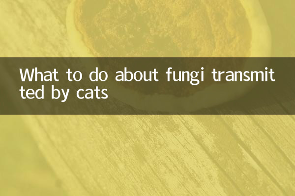 猫が媒介する真菌についてどうするか