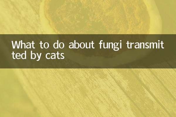 猫が媒介する真菌についてどうするか