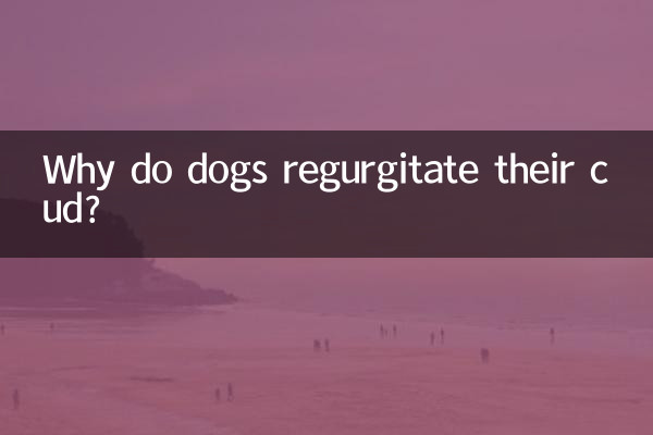 狗狗反芻是怎麼回事