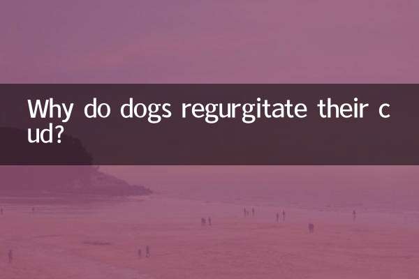 狗狗反芻是怎麼回事