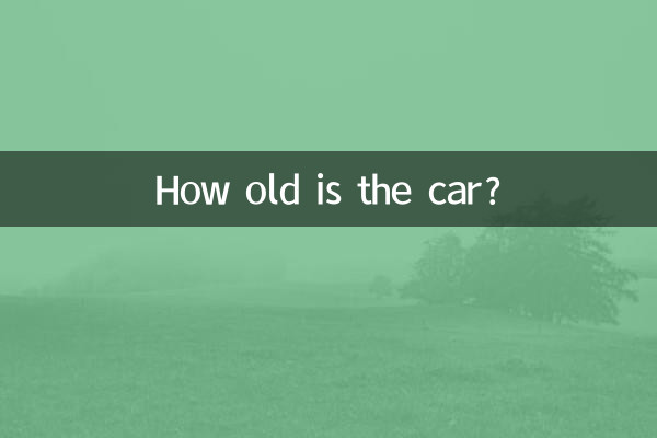 차는 몇 살입니까?