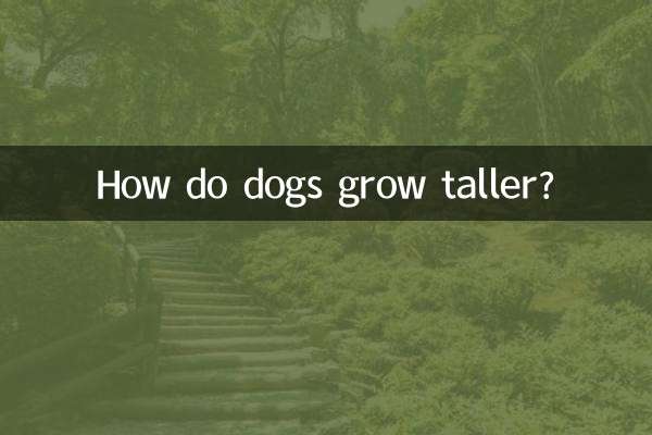 狗狗怎么长个子