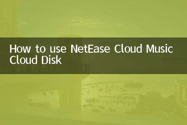 NetEase Cloud 뮤직 클라우드 디스크 사용 방법