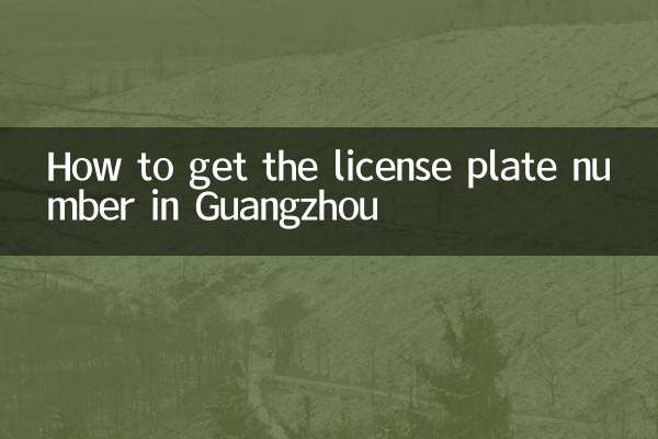 How to get the license plate number in Guangzhou