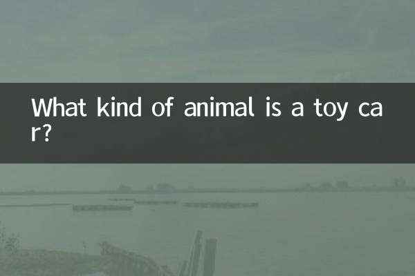 玩具汽车是什么动物