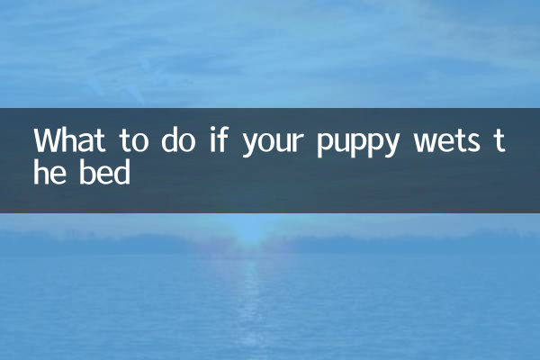 O que fazer se seu cachorro urinar na cama