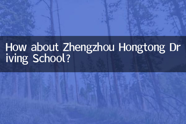 ¿Qué tal la escuela de manejo Zhengzhou Hongtong?
