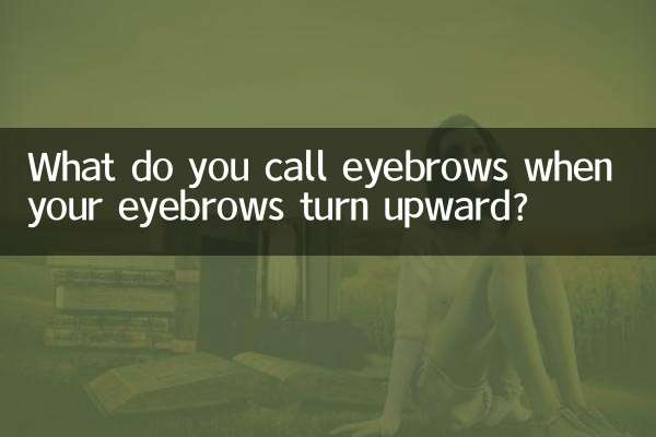 جب آپ کے ابرو اوپر کی طرف مڑتے ہیں تو آپ ابرو کو کیا کہتے ہیں؟