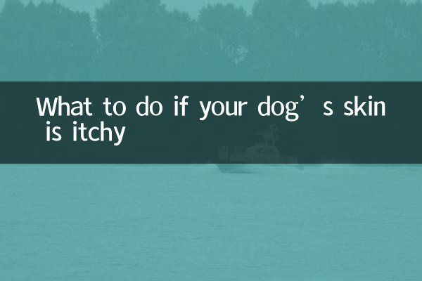 ماذا تفعل إذا كان جلد كلبك حاكًا؟