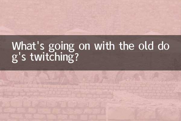 ¿Qué pasa con los espasmos del perro viejo?