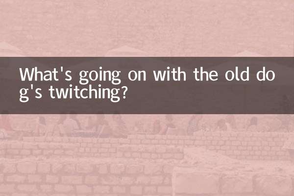 Cosa succede agli spasmi del vecchio cane?
