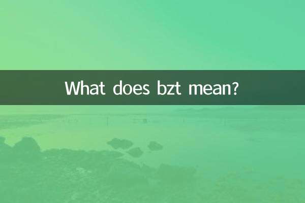 Cosa significa bzt?