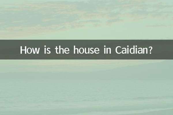 카이디안 집은 어떤가요?