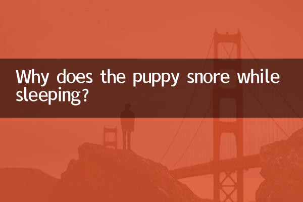 Por que o cachorrinho ronca enquanto dorme?