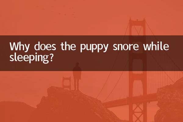 لماذا يشخر الجرو أثناء النوم؟