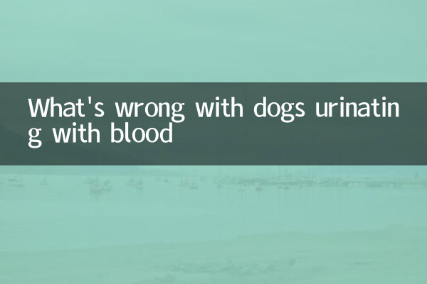 Was ist los mit Hunden, die mit Blut urinieren