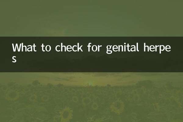 What to check for genital herpes