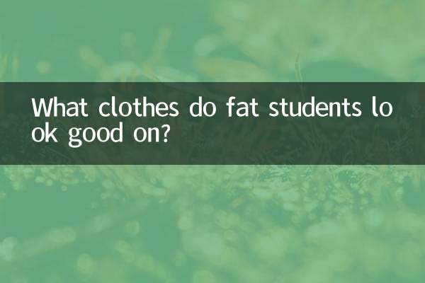 太った学生にとっては見栄えの良い服
