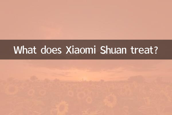 Was behandelt Xiaomi Shuan?