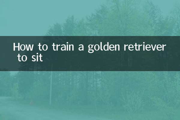 Comment entraîner un golden retriever à s'asseoir