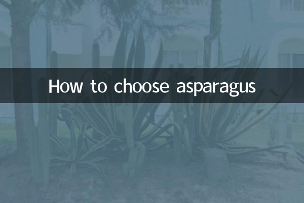 asparagus کا انتخاب کیسے کریں