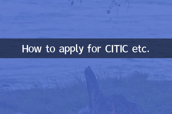 Come richiedere CITIC ecc.