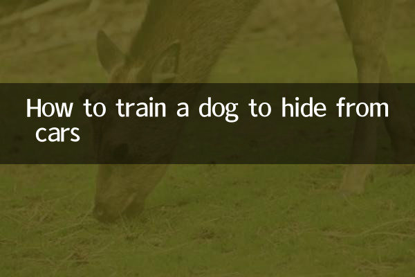 Como treinar um cachorro para se esconder dos carros