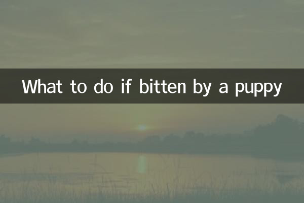 Что делать, если укусил щенок