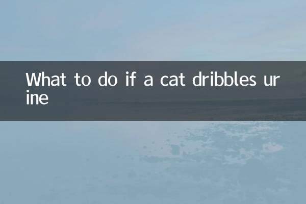 猫がオシッコを垂れ流した場合の対処法