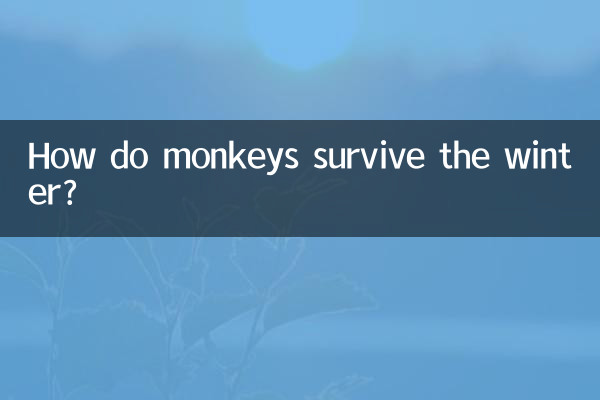 How do monkeys survive the winter?