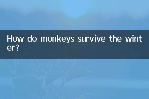 How do monkeys survive the winter?