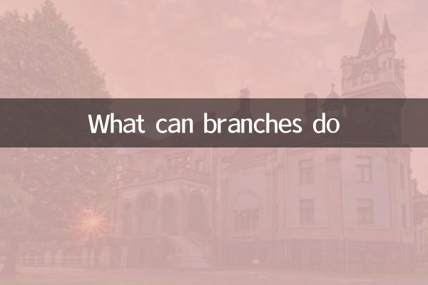 O que as filiais podem fazer