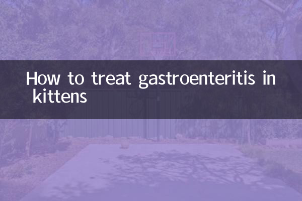 Comment traiter la gastro-entérite chez les chatons