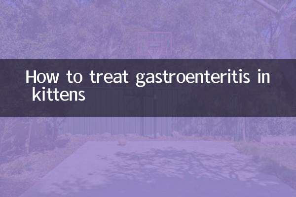 Comment traiter la gastro-entérite chez les chatons