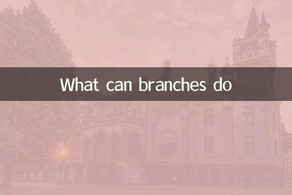 O que as filiais podem fazer