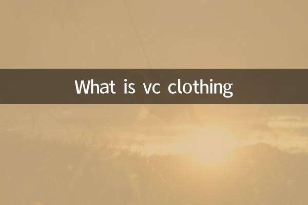VC 의류 란 무엇입니까?
