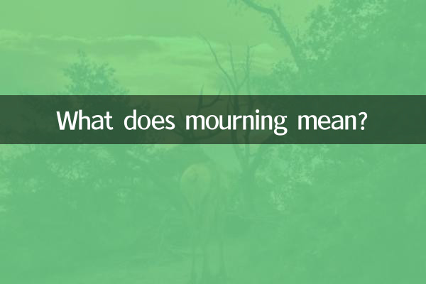 Cosa significa lutto?