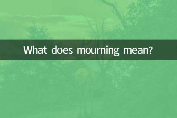 عزاداری یعنی چه؟