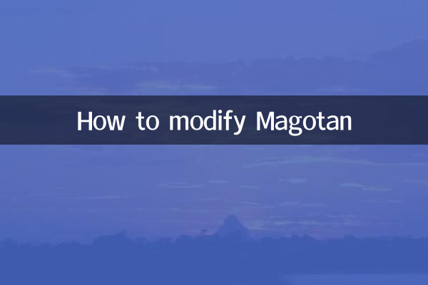 마고탄 수정 방법