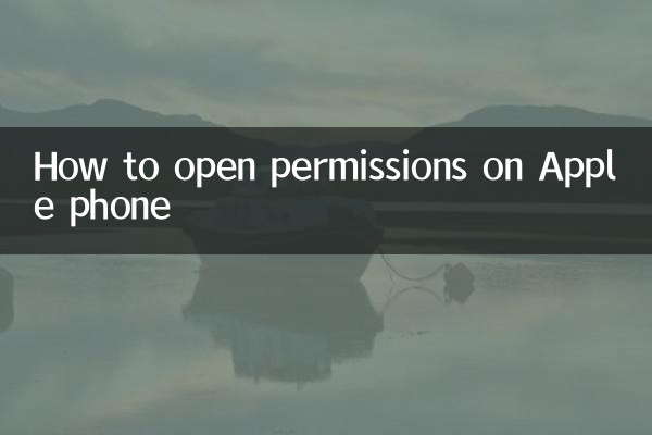 How to open permissions on Apple phone