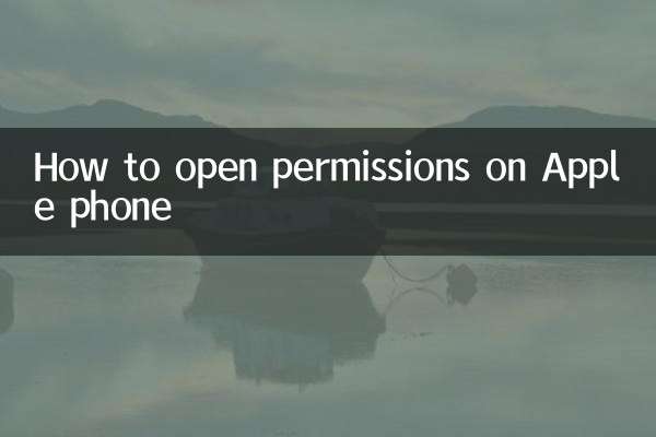 How to open permissions on Apple phone