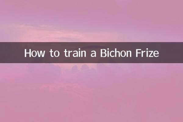 How to train a Bichon Frize