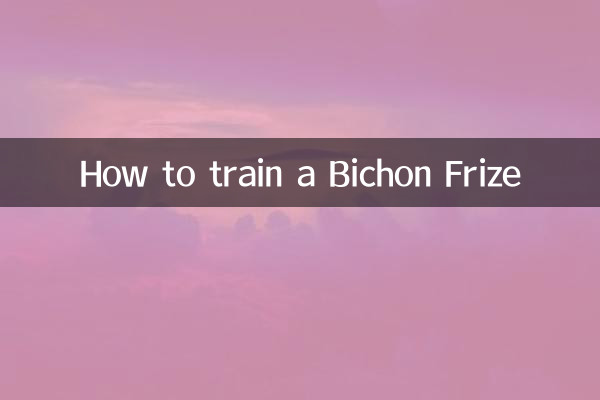 How to train a Bichon Frize