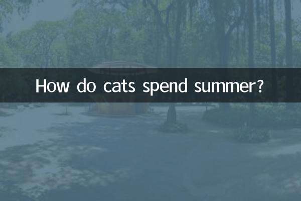 How do cats spend summer?