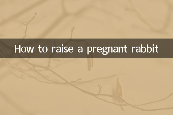 Wie man ein trächtiges Kaninchen großzieht