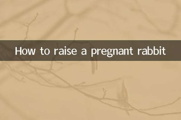 Wie man ein trächtiges Kaninchen großzieht