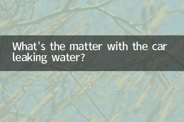 ما مشكلة تسرب الماء من السيارة؟